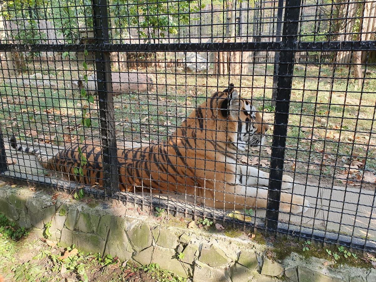 Grădina Zoologică Bucureşti