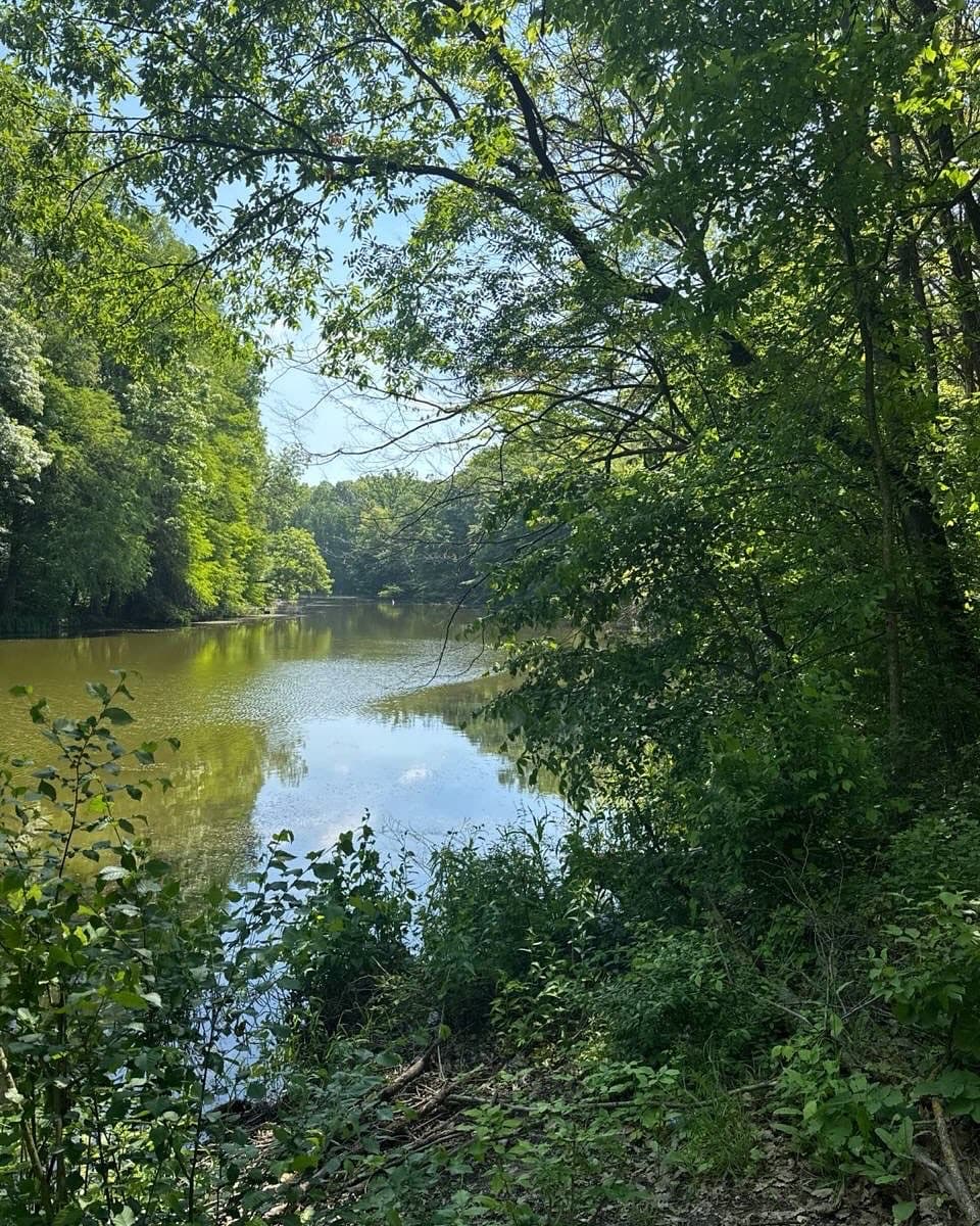 Lacul Magic din Pădurea Cernica