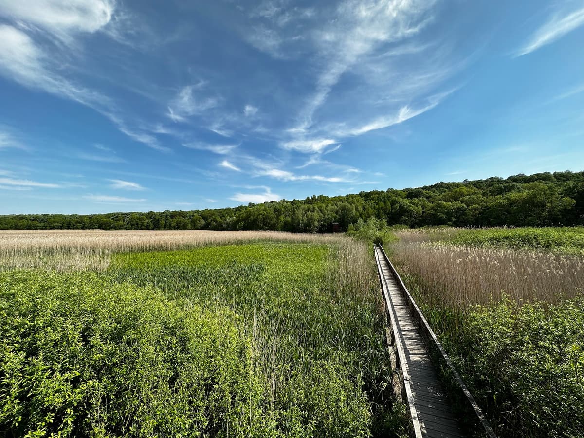 Parcul Natural Comana