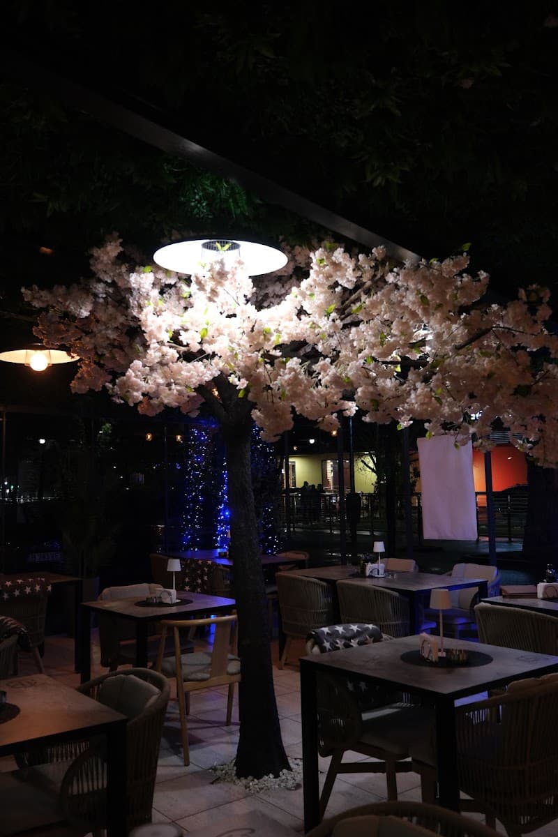 Trattoria Borghese